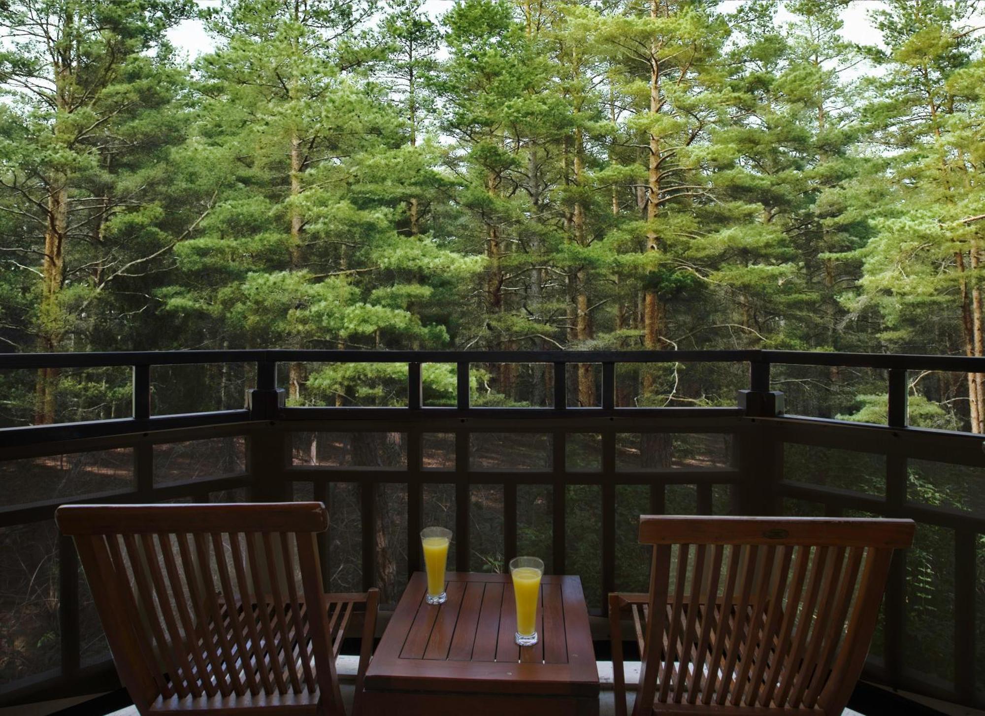 อควาเวิลด์ เบเล็ก Hotel อันตัลยา ภายนอก รูปภาพ A view of the forest from the balcony of a guest room